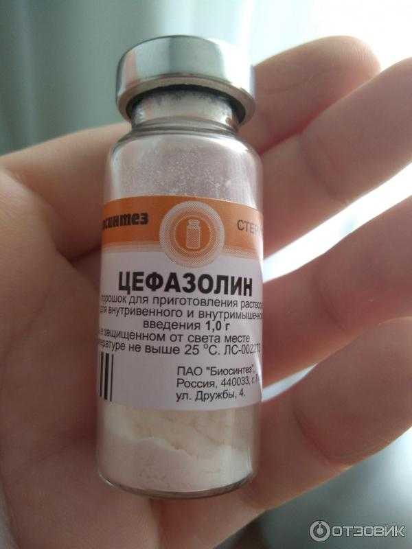 Какие антибиотики можно давать кошкам, список препаратов, дозировка
