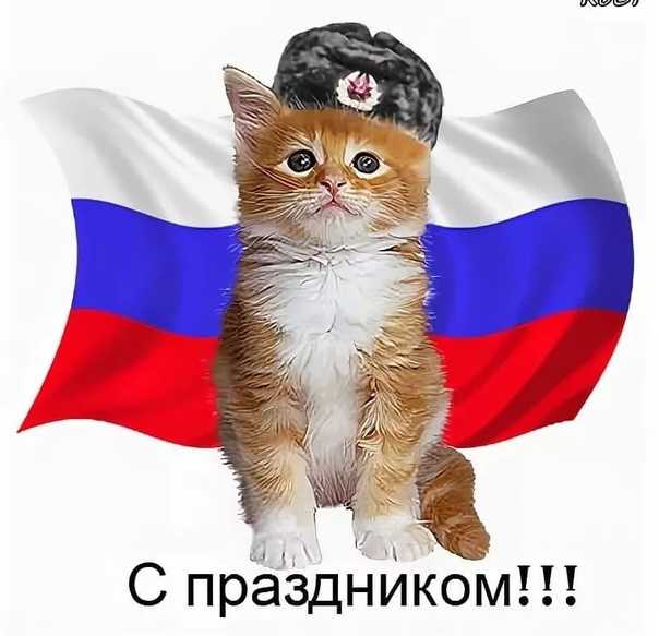 Любимые кошки знаменитостей